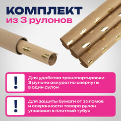 Бумага упаковочная подарочная крафт С ТИСНЕНИЕМ НАБОР 3 шт., "Trendy Kraft", 70х100 см, ЗОЛОТАЯ СКАЗКА, 591938