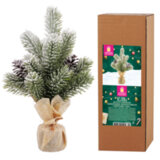 Ель новогодняя искусственная настольная 25 см, заснеженная, с шишками, литой ПЭТ, ЗОЛОТАЯ СКАЗКА, 592010