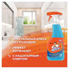 Средство для мытья стекол и зеркал 530 мл, МИСТЕР МУСКУЛ &laquo;После дождя&raquo;, распылитель