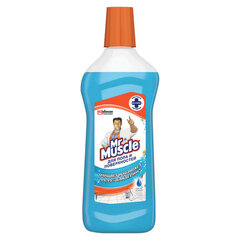 Средство для мытья пола и поверхностей 500 мл, МИСТЕР МУСКУЛ "После дождя"