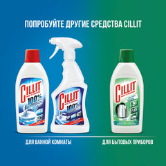 Средство для удаления ржавчины и известкового налета 450 мл, CILLIT (Силлит), распылитель