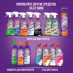 Средство для уборки туалета дезинфицирующее 450 мл, CILLIT BANG &laquo;Сила Цитруса&raquo;