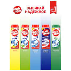 Чистящее средство 480 г, ПЕМОЛЮКС, чистота и гигиена, &laquo;Пихта и эвкалипт&raquo;, порошок