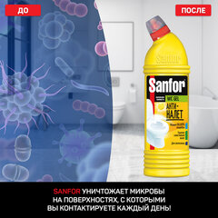 Средство для уборки туалета 1 кг, SANFOR WC gel (Санфор гель) "Лимонный фреш"