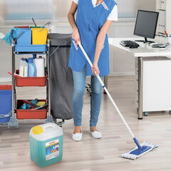 Средство для мытья пола 5 кг, LAIMA PROFESSIONAL концентрат, &laquo;Морской бриз&raquo;, 602296