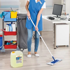 Чистящее средство 5 кг, LAIMA PROFESSIONAL &laquo;Лимон&raquo;, дезинфицирующий и отбеливающий эффект, 602302