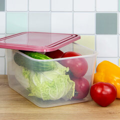 Контейнер 4 л, с крышкой, герметичный, универсальный, хранение и СВЧ, 12,5&times;19&times;25 см, IDEA, М 1455