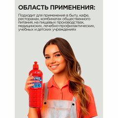 Средство моющее универсальное 1 л, ПРОГРЕСС &laquo;Люкс&raquo;, пуш-пул