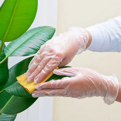 Перчатки виниловые, КОМПЛЕКТ 50 пар (100 штук), ПРОЧНЫЕ, прозрачные, размер М (средний), AVIORA