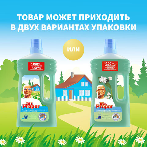 Средство для мытья пола и стен 1 л, MR.PROPER (Мистер Пропер), "Горный ручей и прохлада", MP-8151942