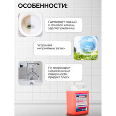 Средство для уборки санитарных помещений 5 л, МЕГАСАН, дезинфицирующее, концентрат