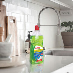 Средство для мытья посуды 1 кг, LAIMA PROFESSIONAL, концентрат, &laquo;Алоэ Вера&raquo;, 604647