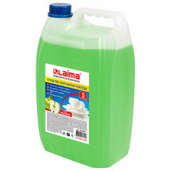 Средство для мытья посуды 5 л, LAIMA PROFESSIONAL, концентрат, &laquo;Яблоко&raquo;, 604651