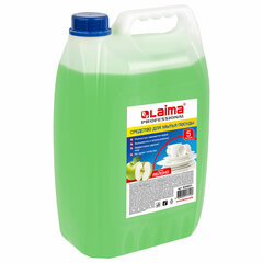 Средство для мытья посуды 5 л, LAIMA PROFESSIONAL, концентрат, &laquo;Яблоко&raquo;, 604651