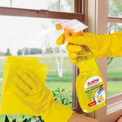 Средство для мытья стекол и зеркал 500 мл, LAIMA PROFESSIONAL &laquo;Лимон&raquo;, распылитель, 604652