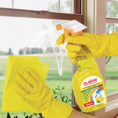 Средство для мытья стекол и зеркал 750 мл, LAIMA PROFESSIONAL &laquo;Лимон&raquo;, распылитель, 604653