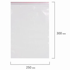 Пакеты с замком ZIP LOCK &laquo;зиплок&raquo;, комплект 100 шт., 250&times;300 мм, ПВД, толщина 40 микрон, BRAUBERG, 606217