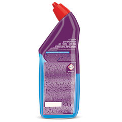 Средство для уборки туалета дезинфицирующее 750 мл CILLIT BANG &laquo;Антиналет+Блеск&raquo;, Свежесть океана, 07813