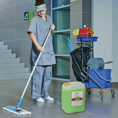 Мыло-крем 5 кг ЗОЛОТОЙ ИДЕАЛ, &laquo;Алтайские травы&raquo;, 606417