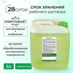 Средство дезинфицирующее 5 л АЛМАДЕЗ, с моющим эффектом, концентрат