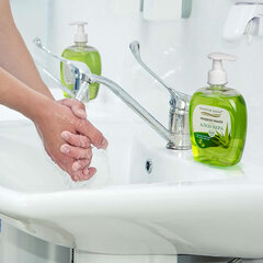 Мыло жидкое 500 г ЗОЛОТОЙ ИДЕАЛ &laquo;Алоэ-вера&raquo;, дозатор