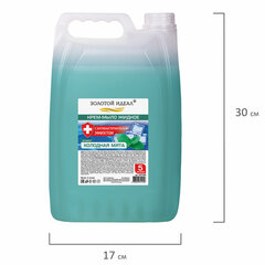 Мыло-крем жидкое с АНТИБАКТЕРИАЛЬНЫМ ЭФФЕКТОМ, 5 л, ЗОЛОТОЙ ИДЕАЛ &laquo;Холодная мята&raquo;, 607490