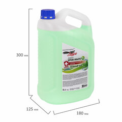 Мыло-крем жидкое c АНТИБАКТЕРИАЛЬНЫМ ЭФФЕКТОМ, 5 л, ЗОЛОТОЙ ИДЕАЛ DELUXE &laquo;Зеленый чай&raquo;, перламутровое, 607499