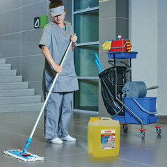 Средство для мытья пола и стен 5 кг LAIMA PROFESSIONAL концентрированное, &laquo;Антибактериальный эффект. Лимон&raquo;, 607966