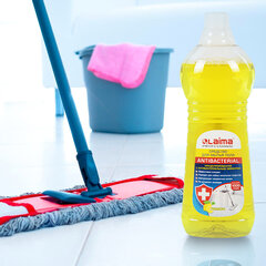 Средство для мытья пола и стен 1 кг LAIMA PROFESSIONAL концентрированное, &laquo;Антибактериальный эффект. Лимон&raquo;, 607967