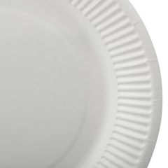 Тарелка одноразовая бумажная 230 мм, КОМПЛЕКТ 100 шт., БЮДЖЕТ, белая мелованная, LAIMA, 608084