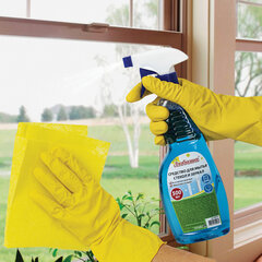 Средство для мытья стекол и зеркал 500 мл &laquo;Морозная свежесть&raquo;, распылитель, ЛЮБАША, 608534