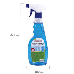 Средство для мытья стекол и зеркал 500 мл &laquo;Морозная свежесть&raquo;, распылитель, ЛЮБАША, 608534