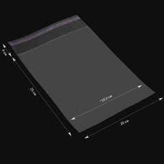 Пакет БОПП с клеевым клапаном, КОМПЛЕКТ 100 шт., 20&times;25+4 см, толщина 30 мкм, с усиленным швом