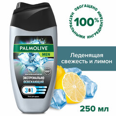 Гель для душа 3 в 1 для лица, волос и тела 250 мл, PALMOLIVE MEN "Арктический ветер", освежающий