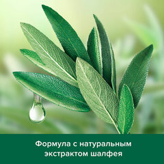 Шампунь мужской 450 мл PALMOLIVE НАТУРЭЛЬ &laquo;Экстракт шалфея&raquo;, против перхоти