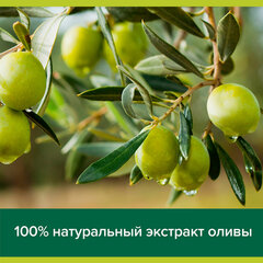 Мыло жидкое 300 мл, PALMOLIVE НАТУРЭЛЬ "Олива и увлажняющее молочко", дозатор, 1763
