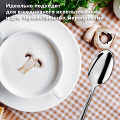 Ложки столовые 20 см, STANDARD, КОМПЛЕКТ 6 шт., полированная нержавеющая сталь, серебристые, DASWERK (ДАСВЕРК), 609077