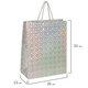 Пакет подарочный 26x13x32 см (L), НАБОР 4 шт., 4 дизайна, голография, ЗОЛОТАЯ СКАЗКА, 609734