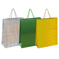 Пакет подарочный 33&times;13&times;45 см (XL), НАБОР 3 шт., 3 дизайна, голография, ЗОЛОТАЯ СКАЗКА, 609737