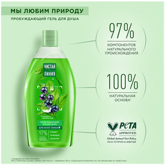 Гель для душа 750 мл, ЧИСТАЯ ЛИНИЯ &laquo;Смородина и ледниковая вода&raquo;, на натуральной основе