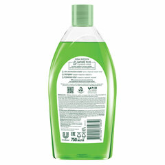 Гель для душа 750 мл, ЧИСТАЯ ЛИНИЯ &laquo;Смородина и ледниковая вода&raquo;, на натуральной основе