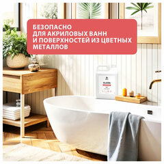 Средство для чистки сантехники кислотное 5,5 кг, GRASS GLOSS PROFESSIONAL, концентрат