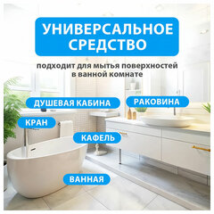 Средство для чистки сантехники кислотное 5,5 кг, GRASS GLOSS PROFESSIONAL, концентрат