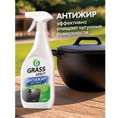 Средство для кухни, для чистки чугунных поверхностей, антижир, 600 мл, GRASS AZELIT, триггер