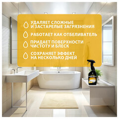 Средство для чистки сантехники кислотное 600 мл, GRASS GLOSS PROFESSIONAL, триггер