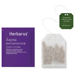 Чай HERBARUS &laquo;Заряд витаминов&raquo; травяной, 24 пакетика в конвертах по 1,8 г