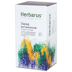 Чай HERBARUS &laquo;Заряд витаминов&raquo; травяной, 24 пакетика в конвертах по 1,8 г