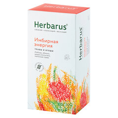 Чай HERBARUS &laquo;Имбирная Энергия&raquo; травяной, 24 пакетика в конвертах по 2 г