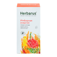 Чай HERBARUS &laquo;Имбирная Энергия&raquo; травяной, 24 пакетика в конвертах по 2 г