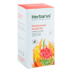 Чай HERBARUS &laquo;Имбирная Энергия&raquo; травяной, 24 пакетика в конвертах по 2 г
